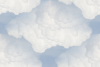 nuage_mot_100_alpha65.png