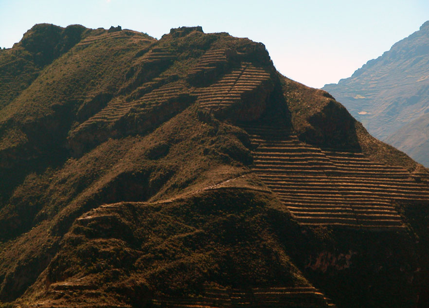 Condor-shaped terracing