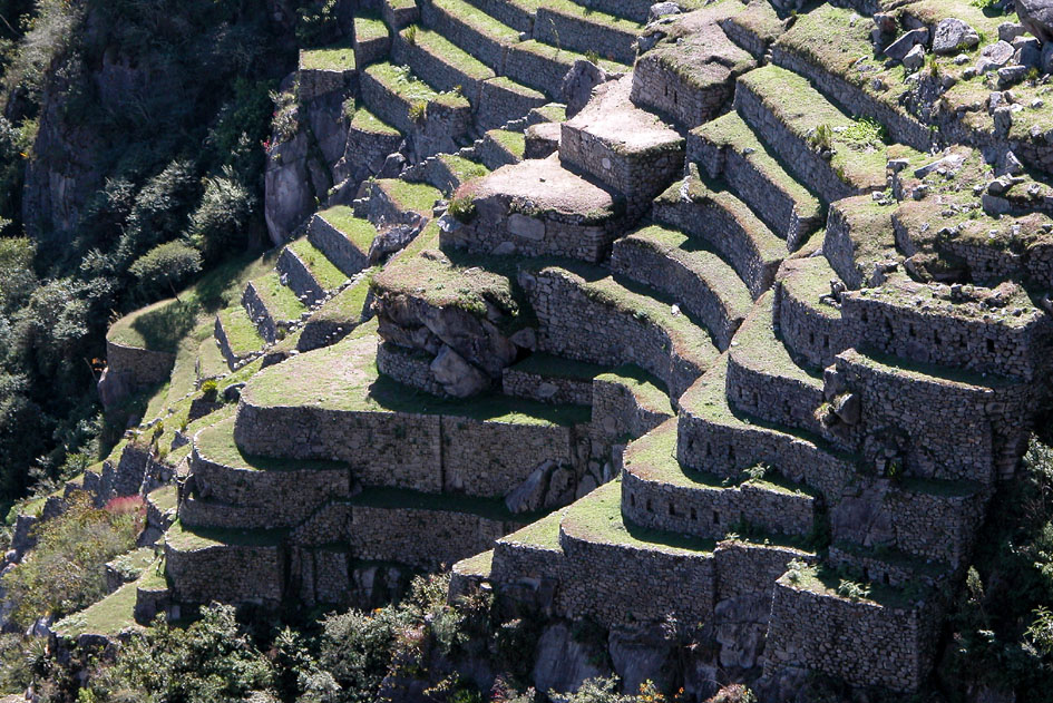 Supporting terraces