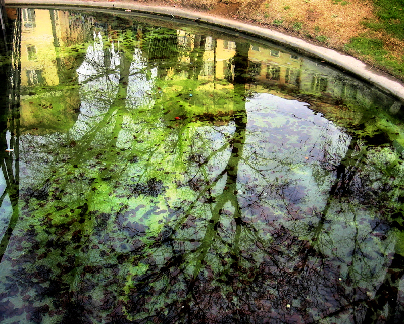 A world in a basin