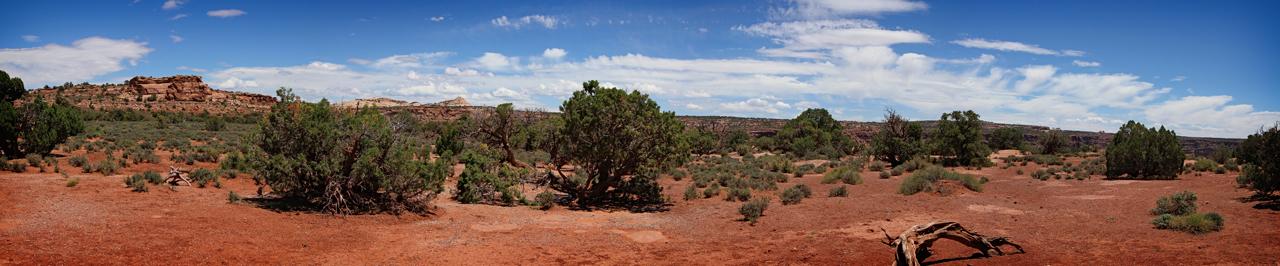 Canyonlands National Park, Moab, UT