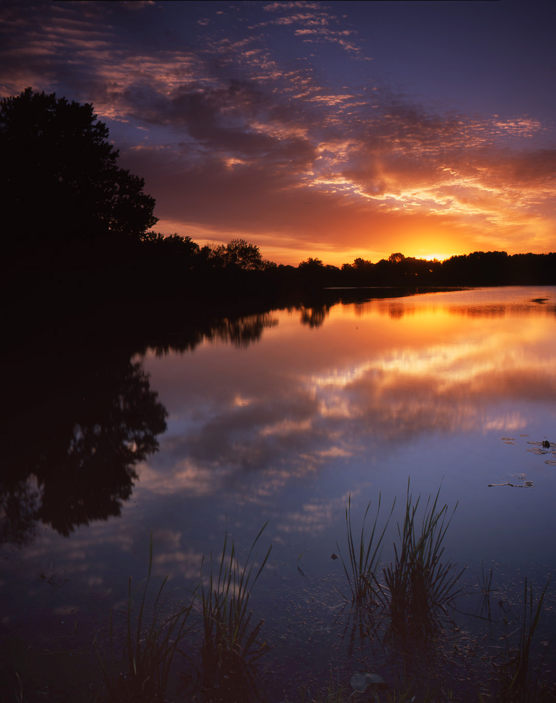 Snug Harbor, McHenry, IL