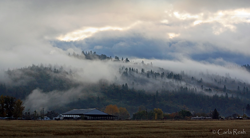 Early morning fog