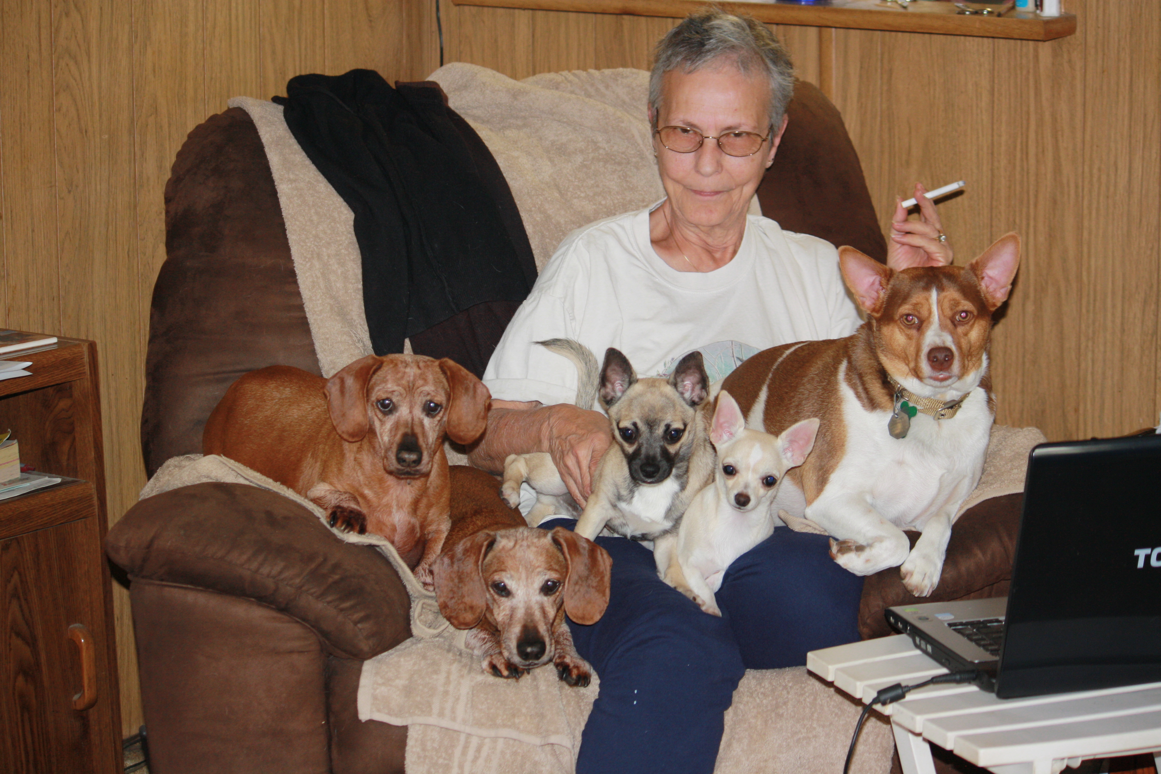 Grandmas Lap