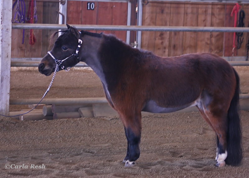 2013_02_23_0105_4pb.jpg