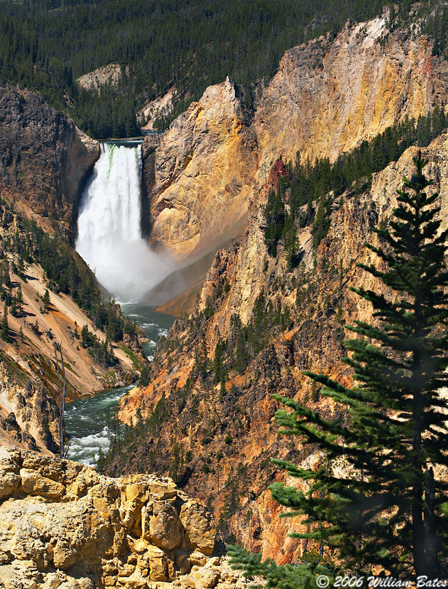 Yellowstone Falls.jpg