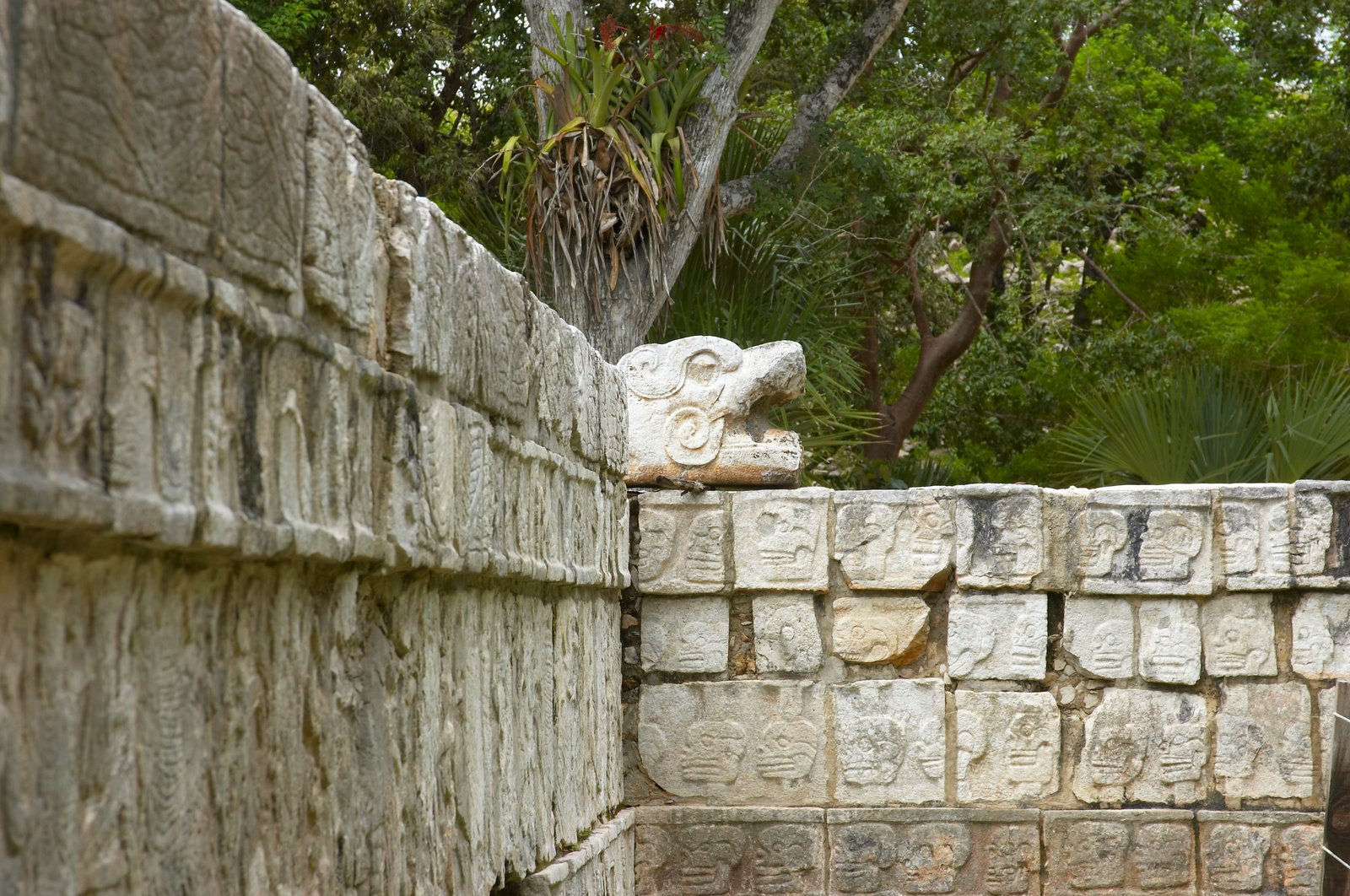 DSC_7281.JPG