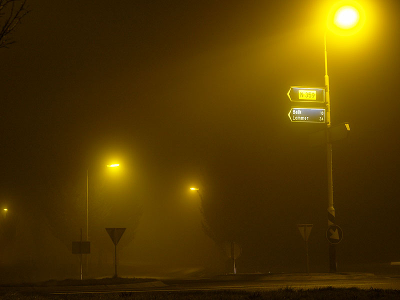 Foggy Crossing