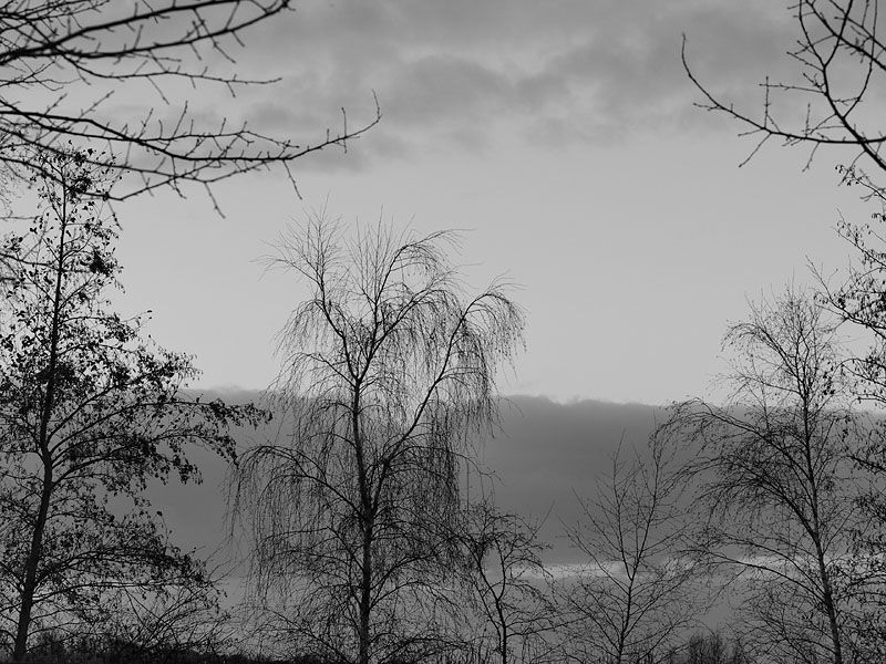 Peaceful