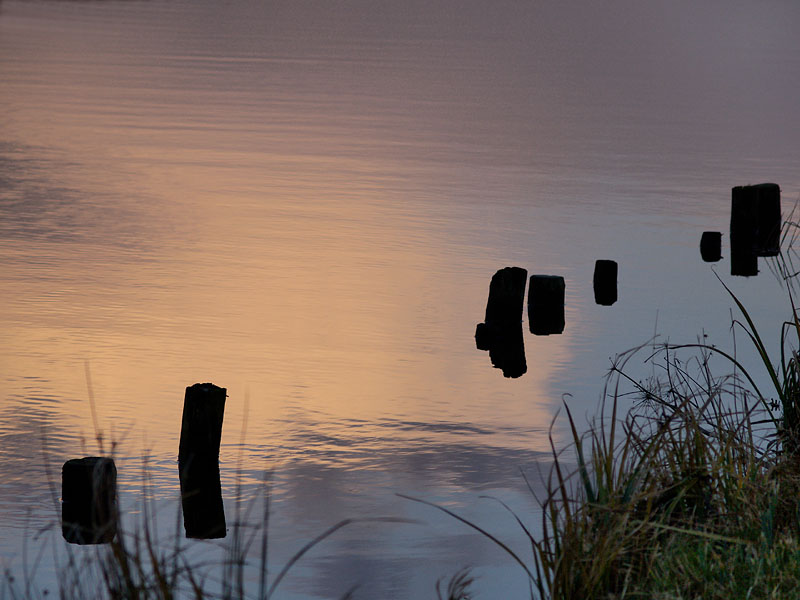 Evening Colours