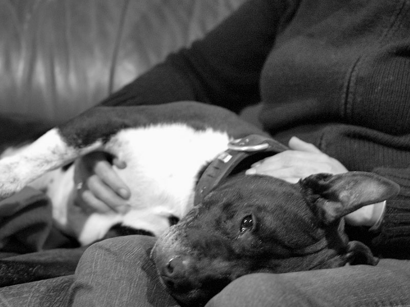 Lazy