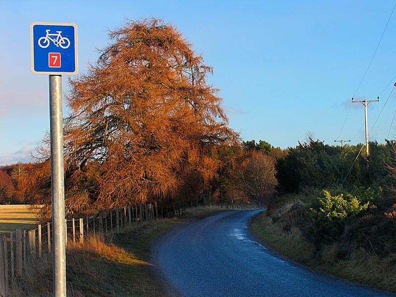 11th January Cycle Route 7