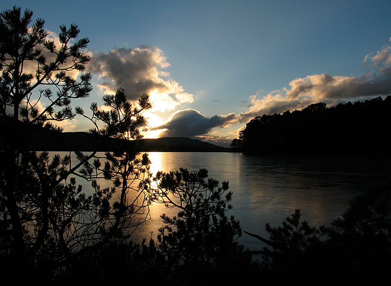 Loch Garten Sunset