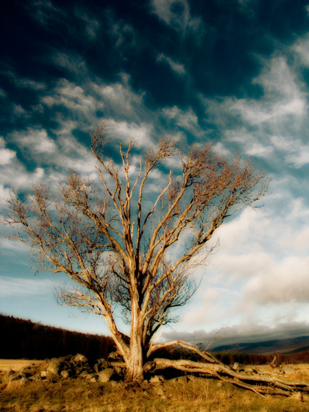 Blue sky Midnight Glow small.jpg