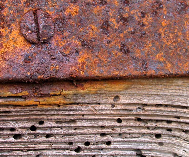 19th February Rotten with Rust