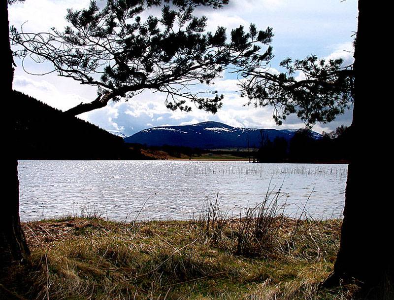 20th April Loch Pityoulish