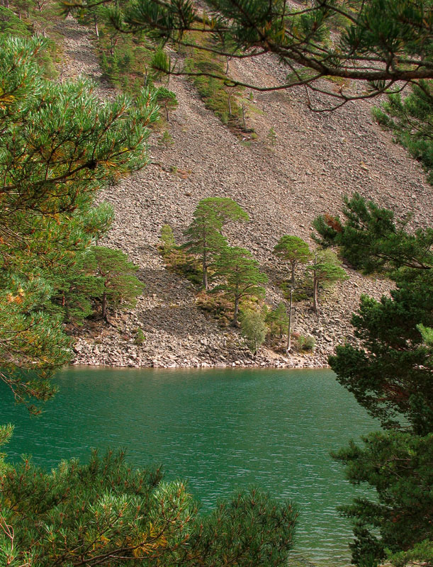 Loch an Uaine