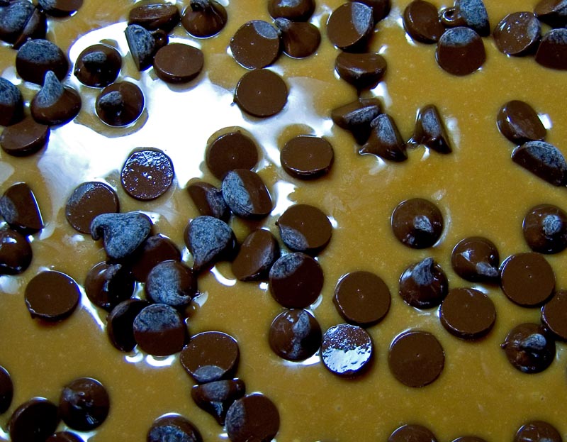 Gooey
