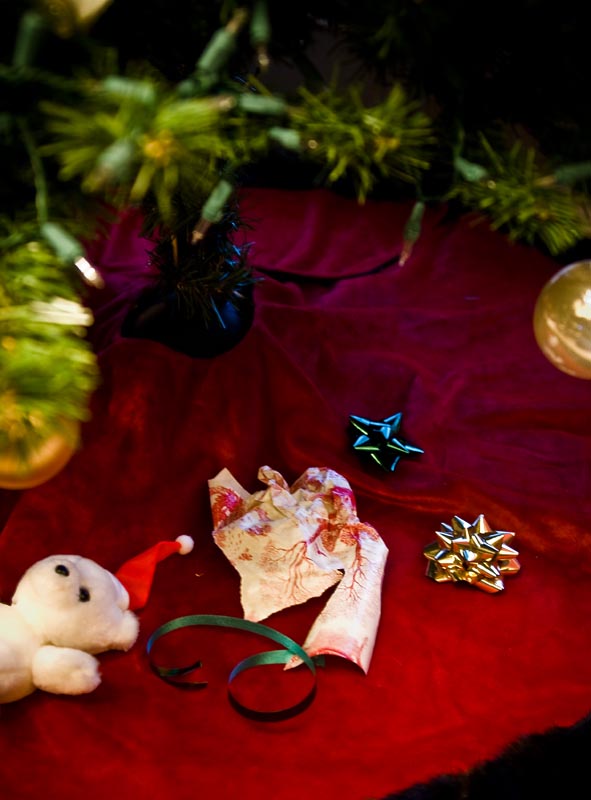 Twas The Night After Christmas . . .