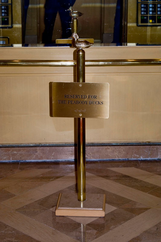 Peabody Ducks Elevator