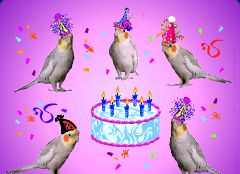 birthdaybird.gif