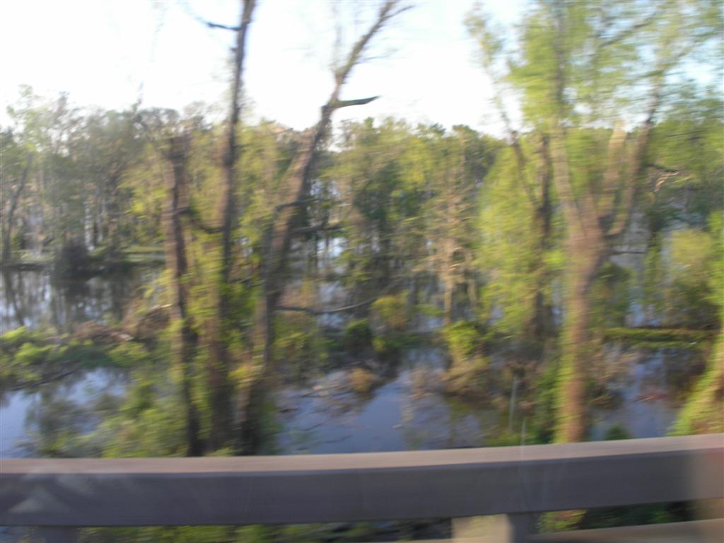 Crossing the Atchafalaya Swamp Causeway