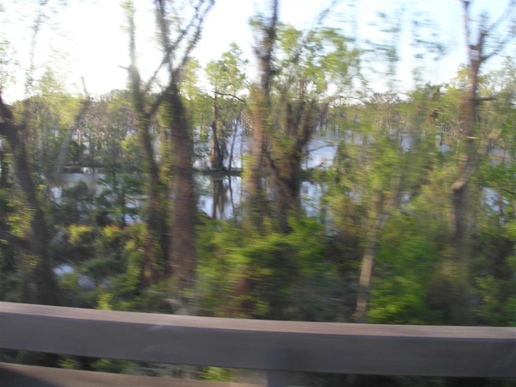 Its Spring and things are greening up
