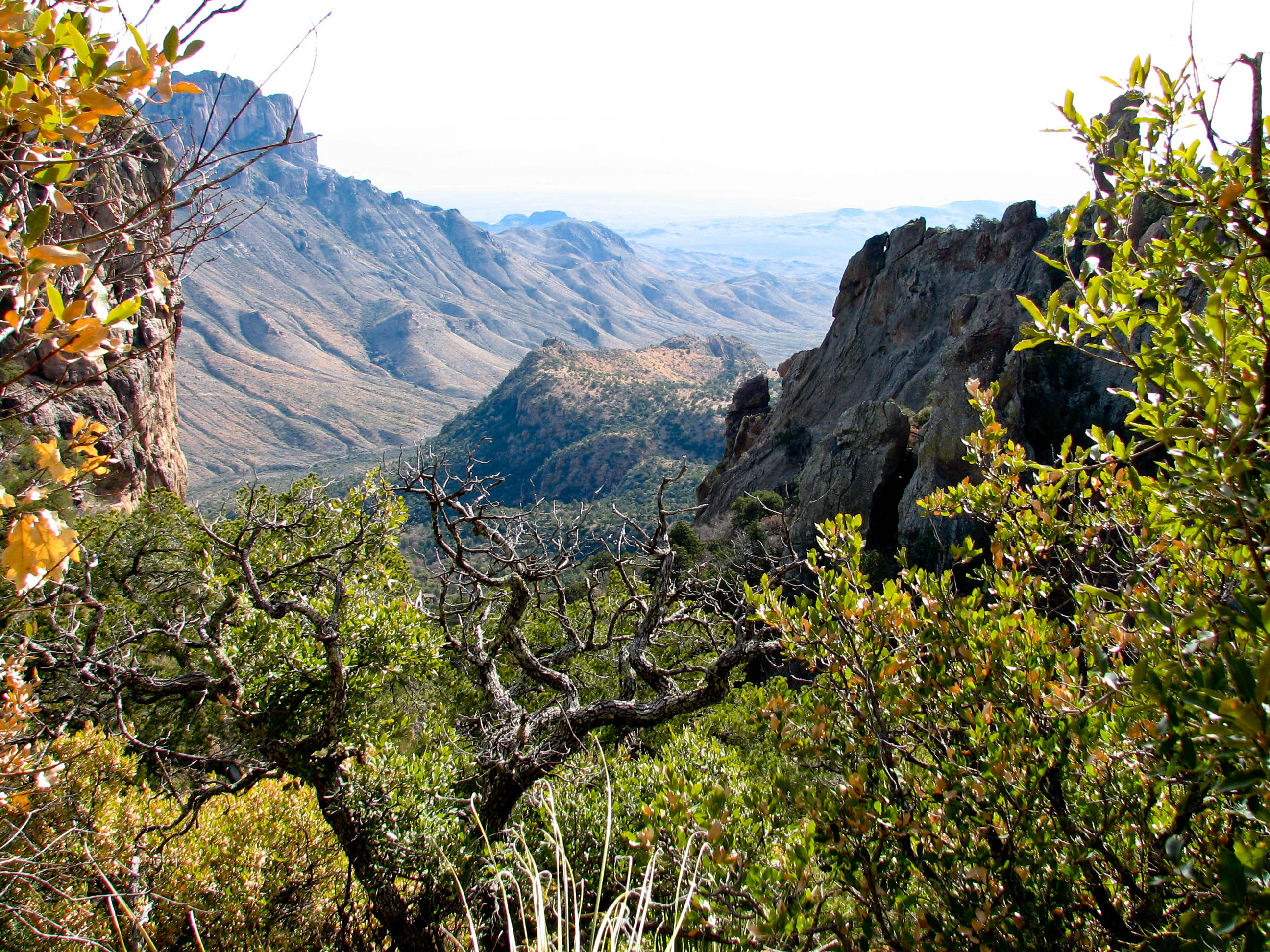View from Boot Canyon at Big Bend National Park
