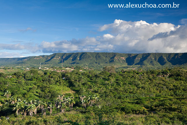 Chapada do Araripe, Crato, Ceara_4939.jpg