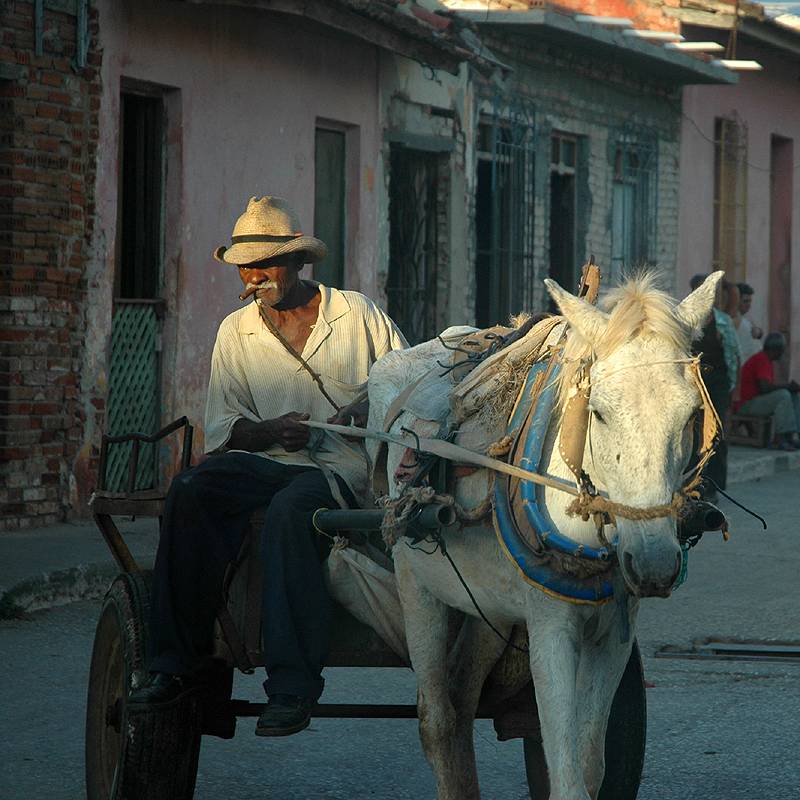 Countryman - Trinidad