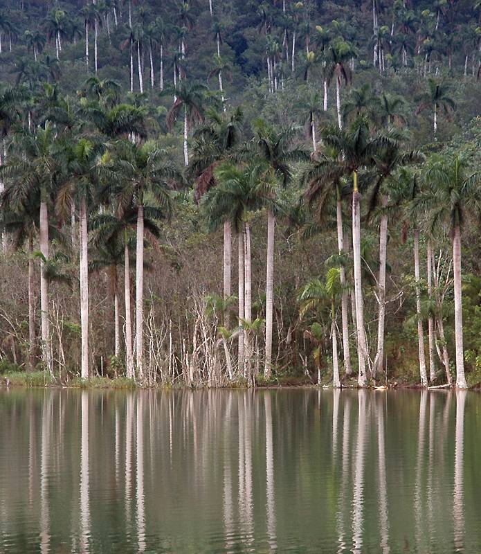 Las Terrazas