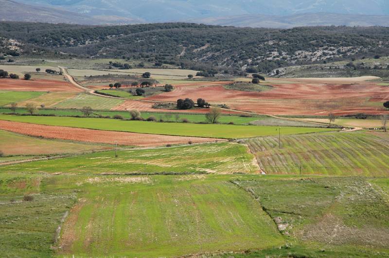 Ancha es Castilla - Castilla is broad