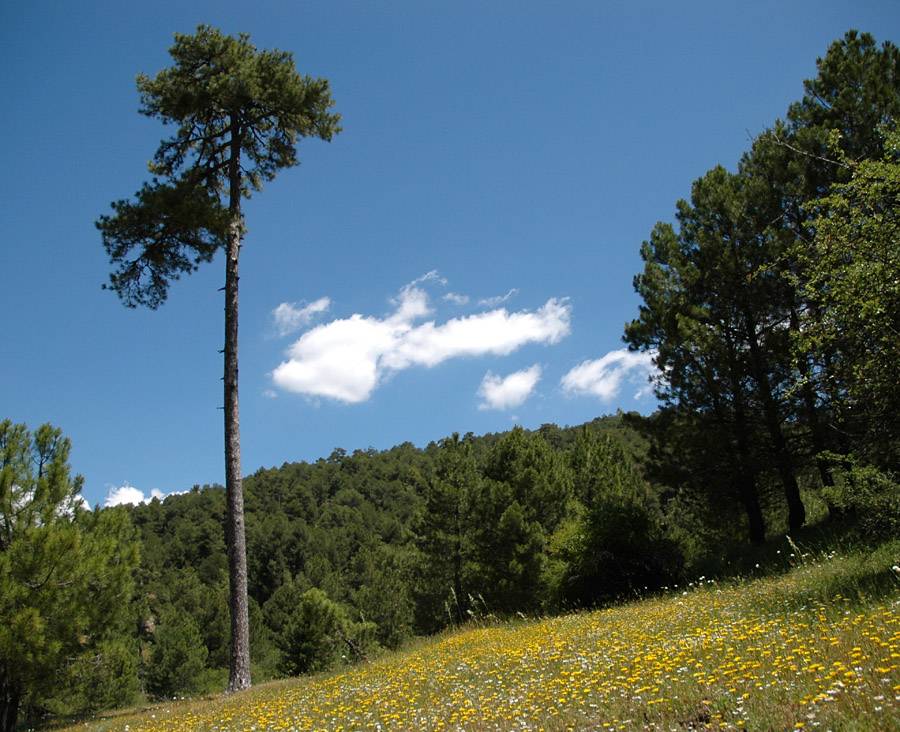 Cazorla Mountains 3
