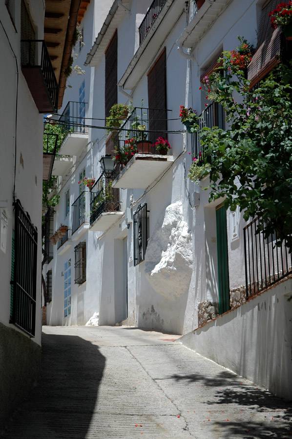 Street  4 - Cazorla