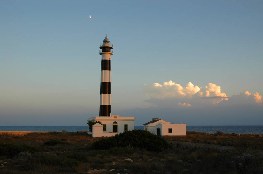 Cap dArtrutx