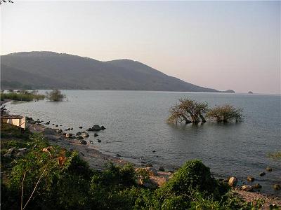 Malawi Sunken Trees by Oliver Knott