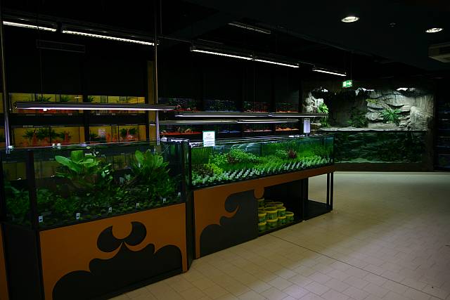 Aquatic Plant Selling Instalation - with Tropica Plants