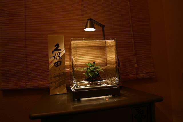Tropica AquaCube (pure design  by O.Knott)