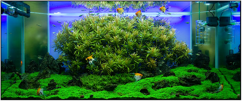 about 4 months after set up