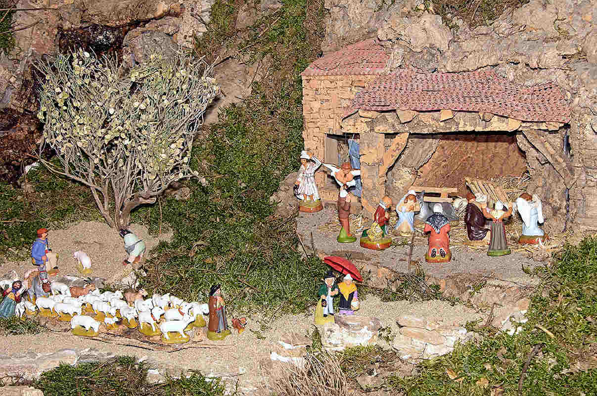 Sheep come to the Manger 87007208.jpg