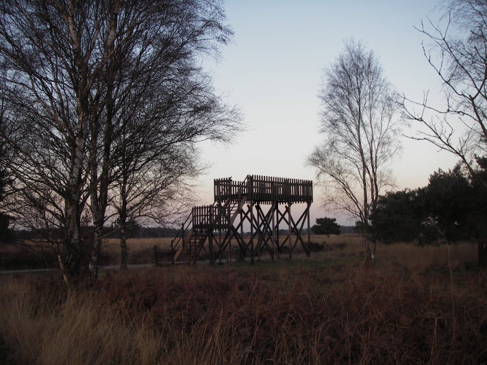 IMGP8142.JPG
