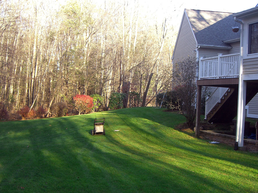 yardmow_nov10.jpg