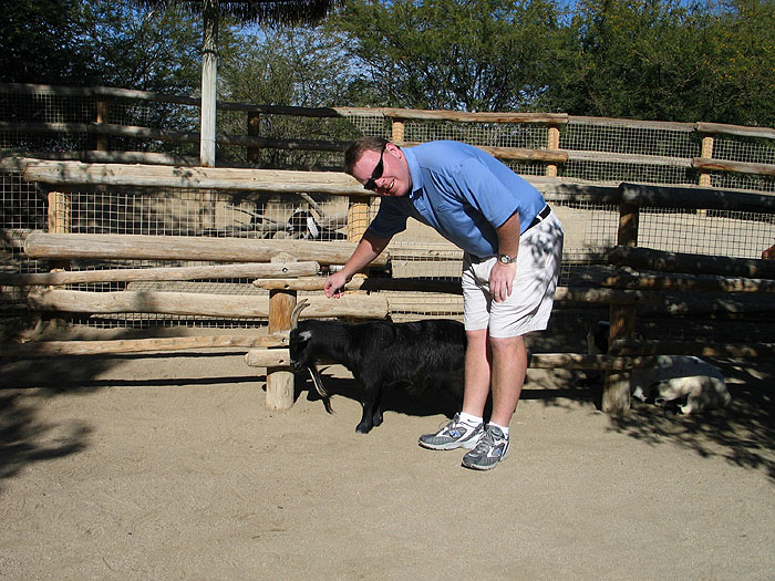 livingdesert_goat.jpg