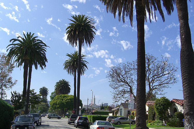 west_la.jpg