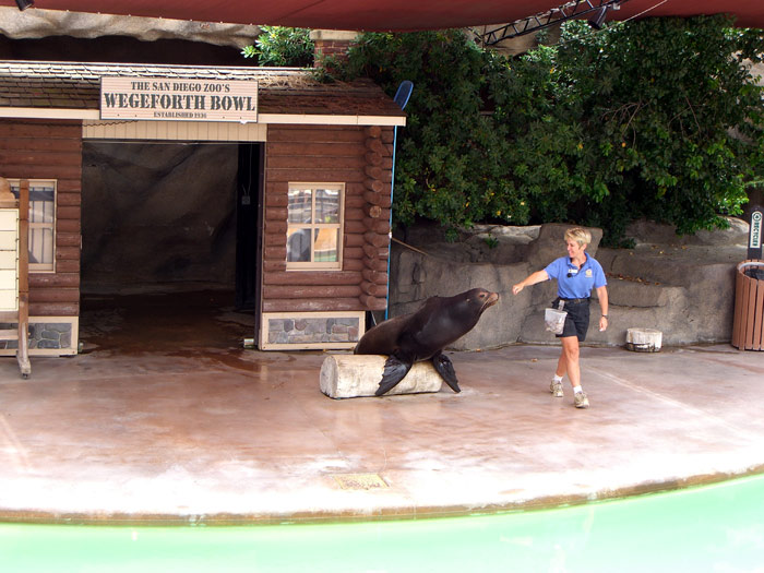 zoo_seal.jpg