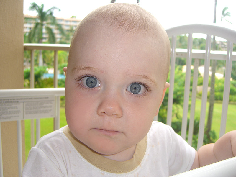 crib_gavin.jpg