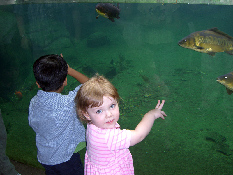 bronx_zoo4.jpg