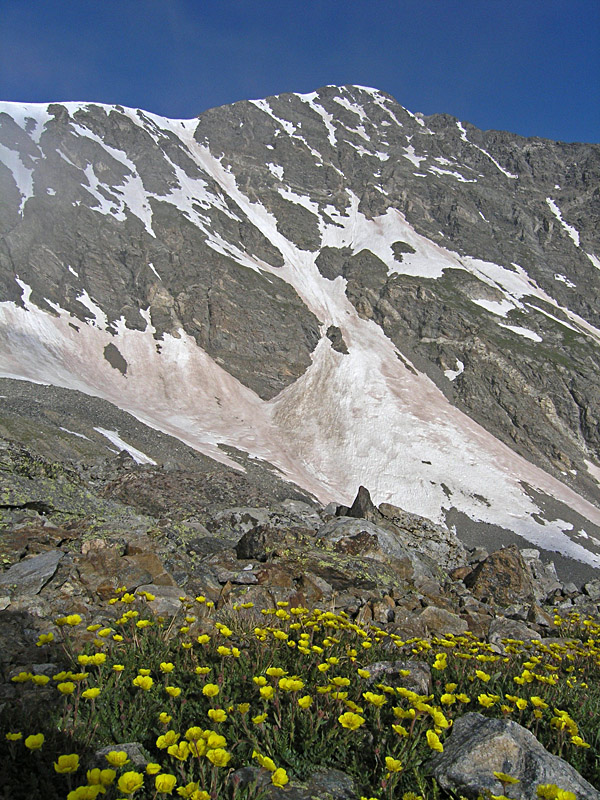 Torreys Peak - 14,267 ft