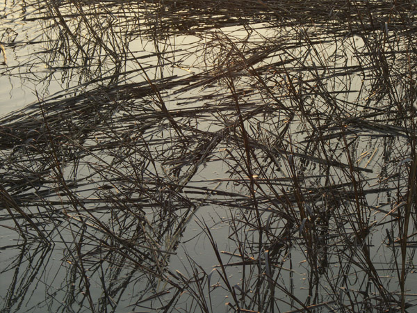 Ashley Reeds at Sunset