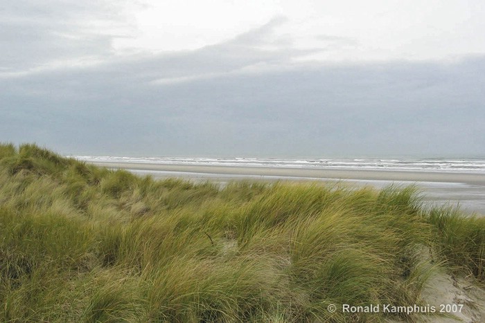  Dunes Ameland - Duinen Ameland